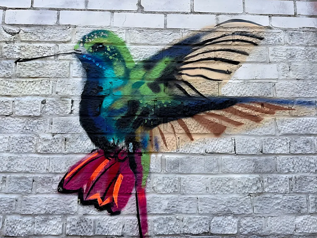 Hummingbird
