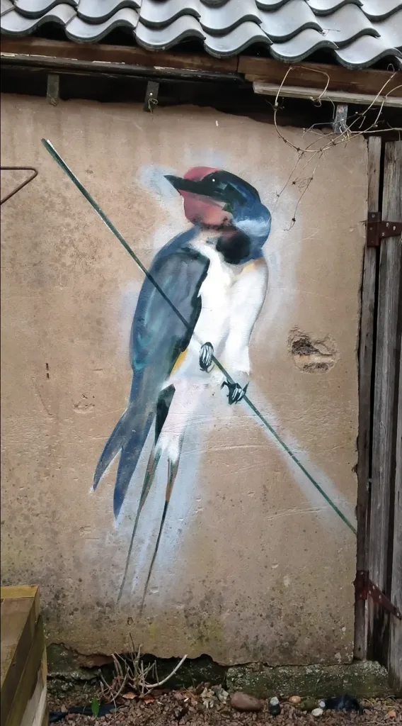 Swallow
